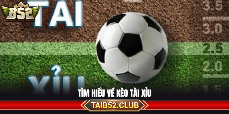 Khám phá loại kèo tài xỉu